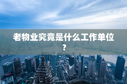 老物业究竟是什么工作单位？