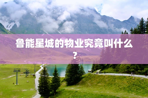 鲁能星城的物业究竟叫什么？