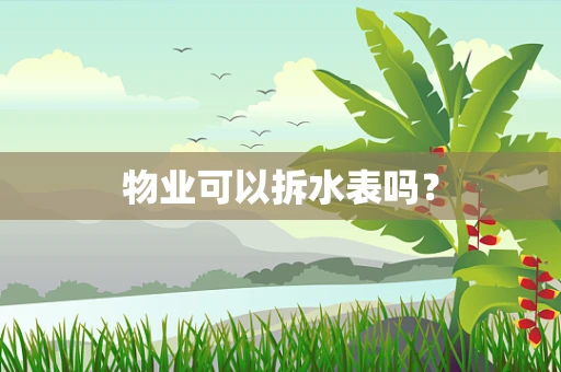 物业可以拆水表吗？