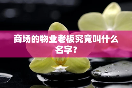 商场的物业老板究竟叫什么名字？