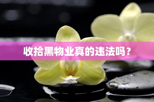 收拾黑物业真的违法吗？