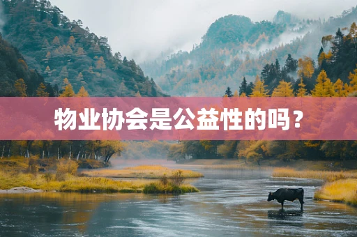 物业协会是公益性的吗？