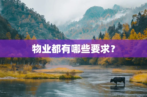 物业都有哪些要求？