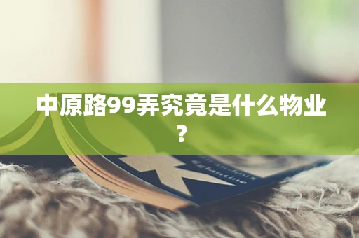 中原路99弄究竟是什么物业？
