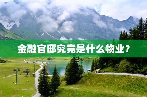 金融官邸究竟是什么物业？