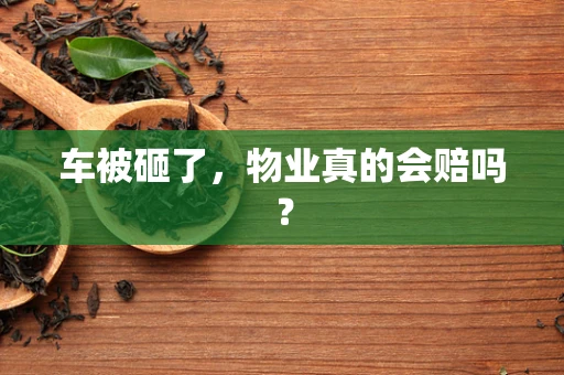 车被砸了，物业真的会赔吗？