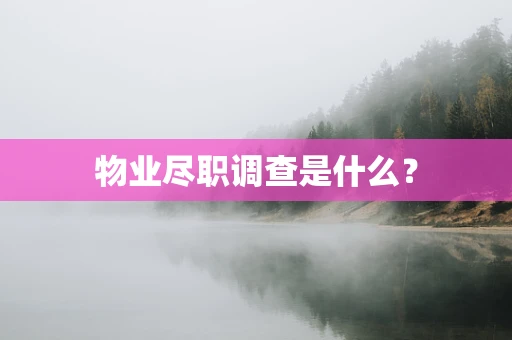 物业尽职调查是什么？