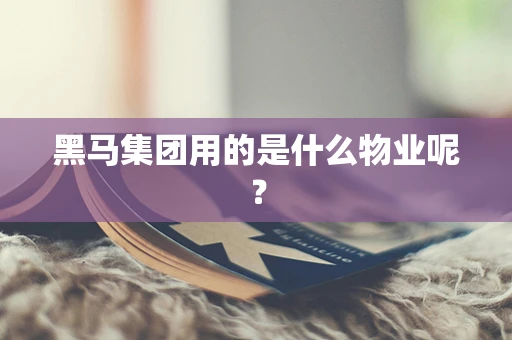 黑马集团用的是什么物业呢？