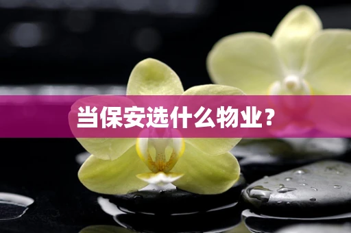 当保安选什么物业？