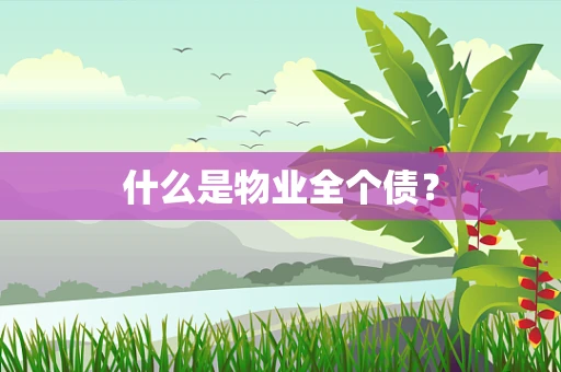 什么是物业全个债？