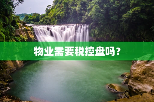 物业需要税控盘吗？