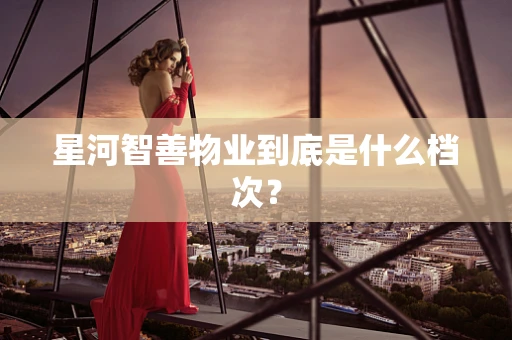 星河智善物业到底是什么档次？