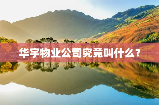 华宇物业公司究竟叫什么？