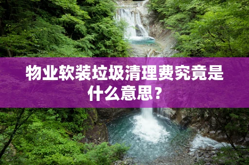 物业软装垃圾清理费究竟是什么意思？