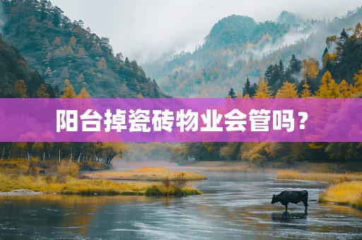 阳台掉瓷砖物业会管吗？