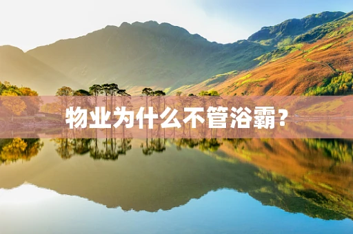 物业为什么不管浴霸？