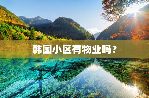 韩国小区有物业吗？