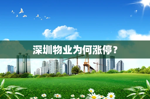深圳物业为何涨停？