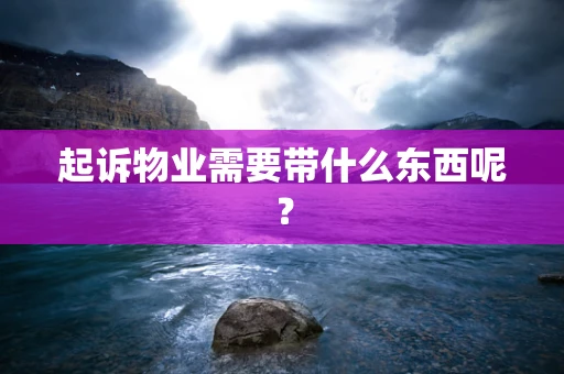 起诉物业需要带什么东西呢？