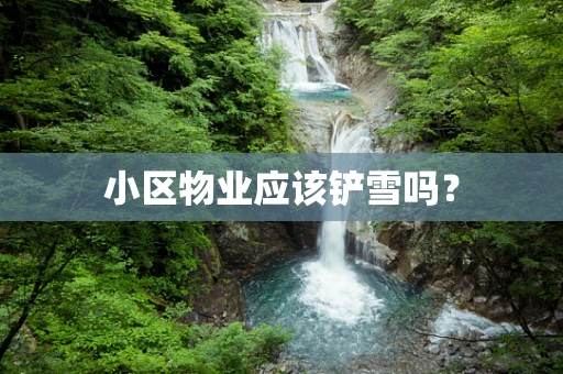 小区物业应该铲雪吗？