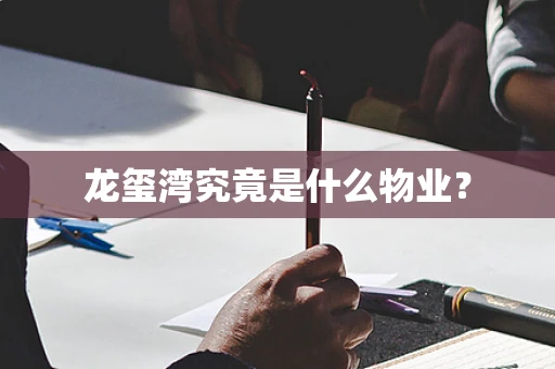 龙玺湾究竟是什么物业？
