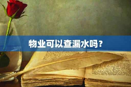 物业可以查漏水吗？