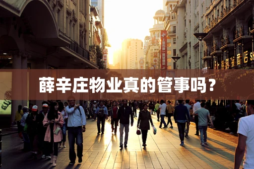 薛辛庄物业真的管事吗？