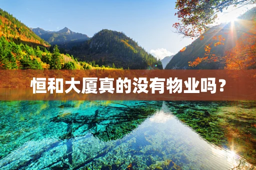 恒和大厦真的没有物业吗？