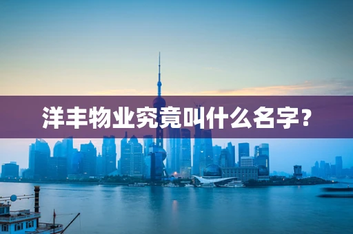 洋丰物业究竟叫什么名字？