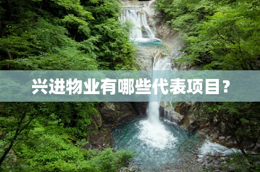 兴进物业有哪些代表项目？
