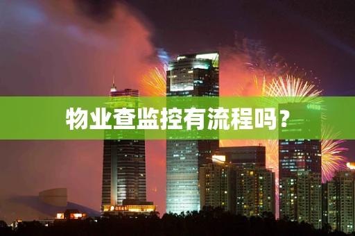 物业查监控有流程吗？