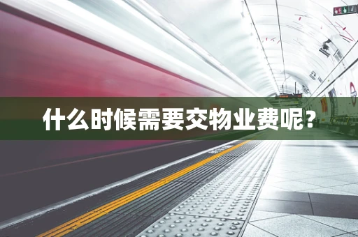 什么时候需要交物业费呢？