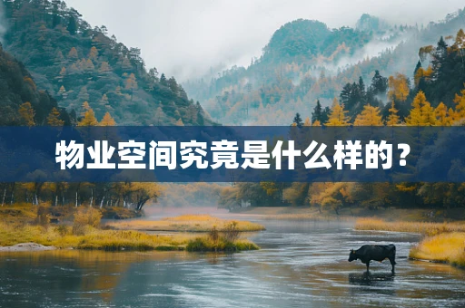 物业空间究竟是什么样的？