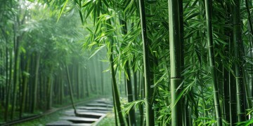 翠竹苑物业现在到底管事吗？