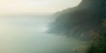 沁园小区是什么物业管理？