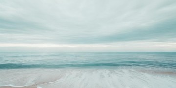 海天园物业现在还招保安吗？