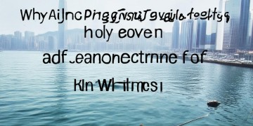港中旅物业为什么不积极解决业主问题？