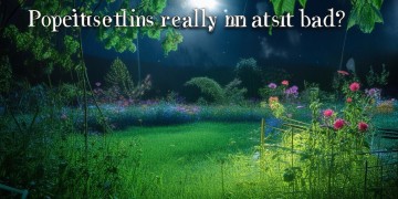 星辰花园物业真的不好吗？