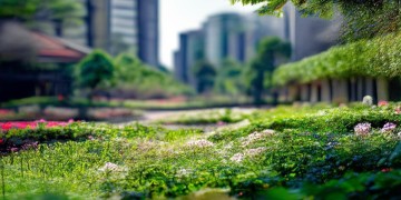 广州东城花园的物业费是多少？