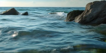 海鲁物业究竟是什么意思？