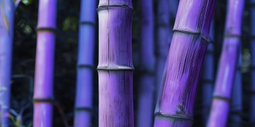 紫竹物业究竟有多少员工?